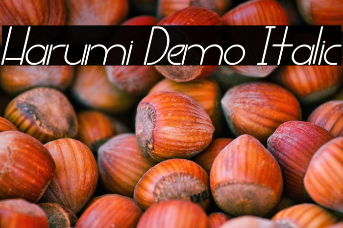 Harumi Demo Italic Example 2