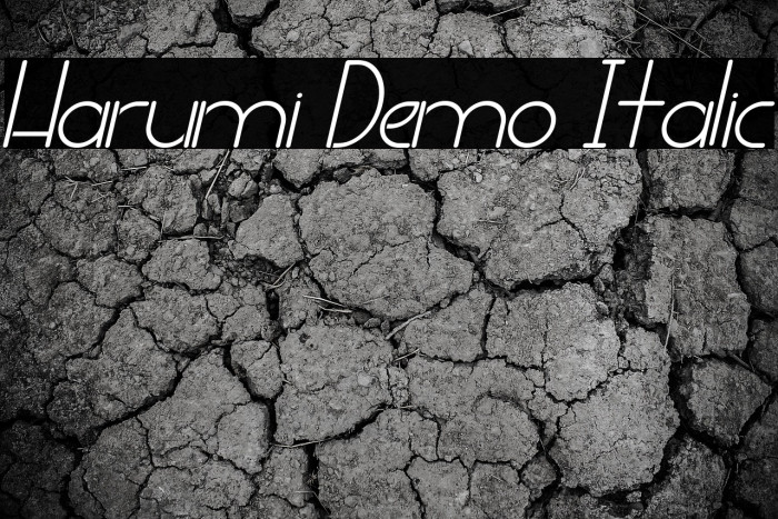 Harumi Demo Italic Example 3