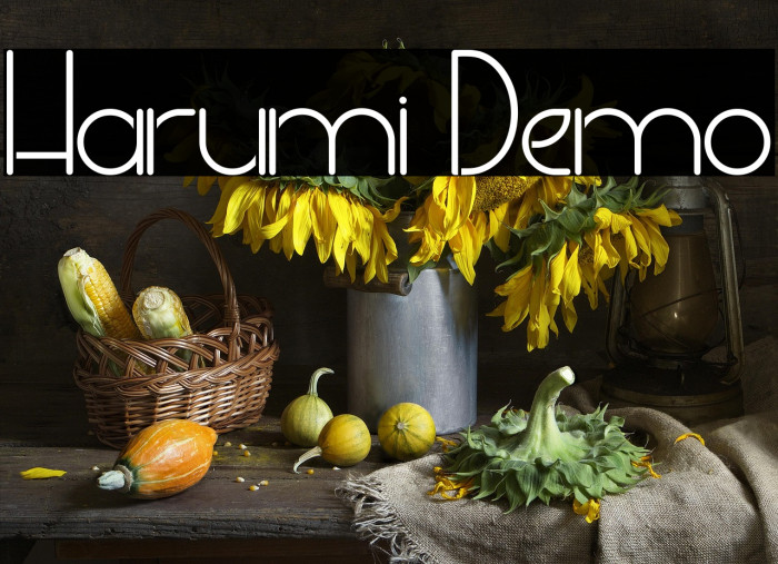 Harumi Demo Example 2