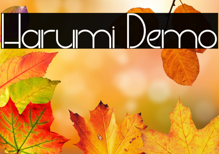 Harumi Demo Example 3