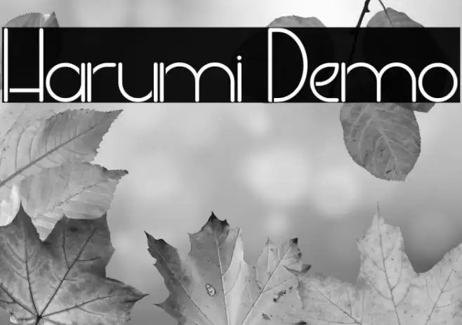 Harumi Demo Font examples