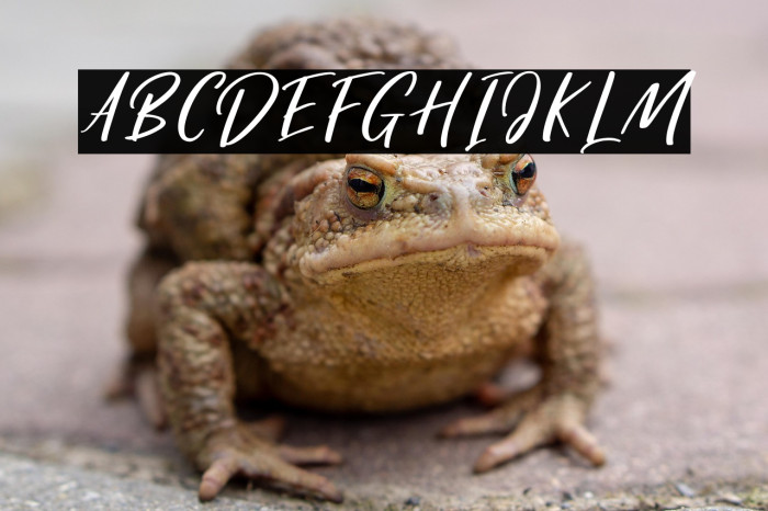 Harvest Barn DEMO Regular Example 3