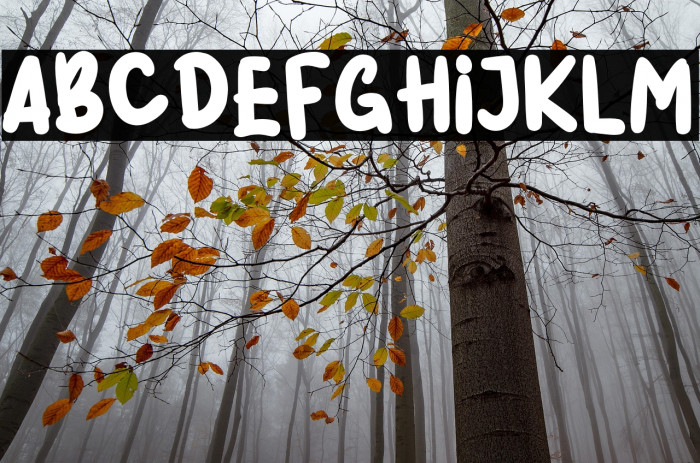 Harvest Bread Example 3