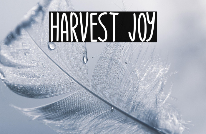 Harvest Joy Example 2