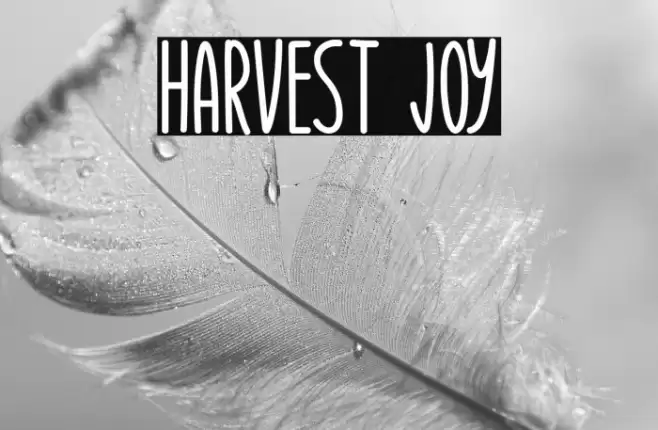 Harvest Joy Font examples