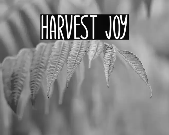 Harvest Joy Font examples