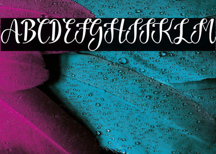 Harvest Love Example 3