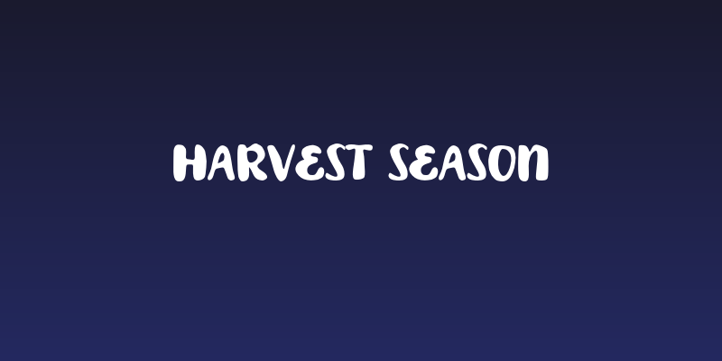 Harvest Season Social Header