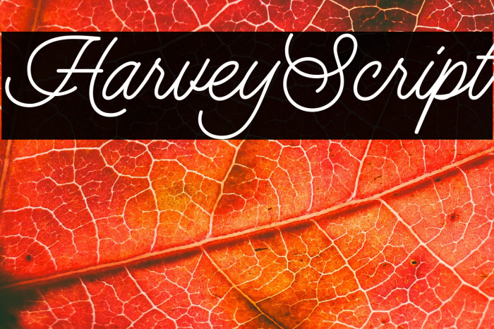 HarveyScript Example 1