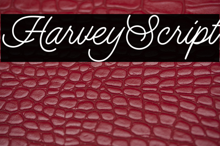 HarveyScript Example 2