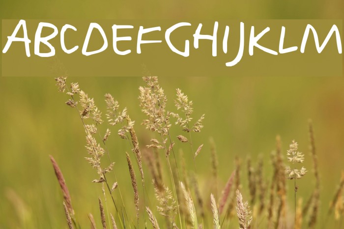 Harvey Font examples