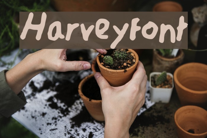 Harveyfont Font examples