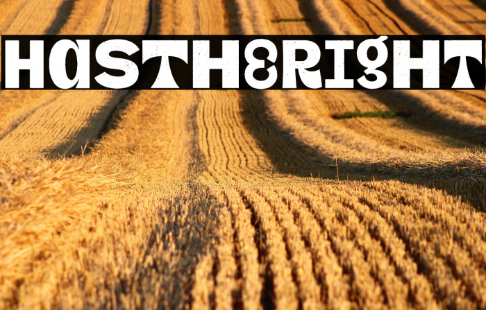 HasThERight Example 2