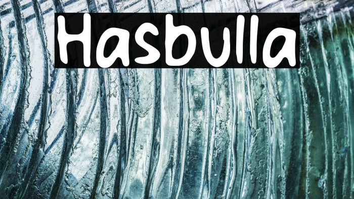 Hasbulla Example 1