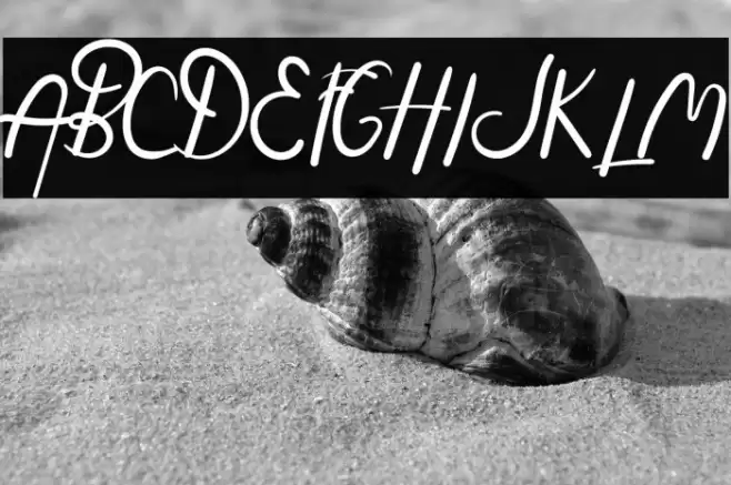 Hasella Font examples