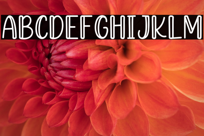 Hashed Browns Outline Example 2