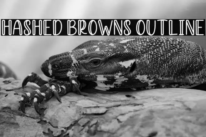 Hashed Browns Outline Font examples