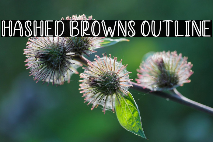 Hashed Browns Outline Example 2