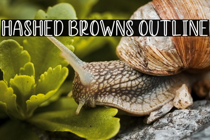 Hashed Browns Outline Example 3