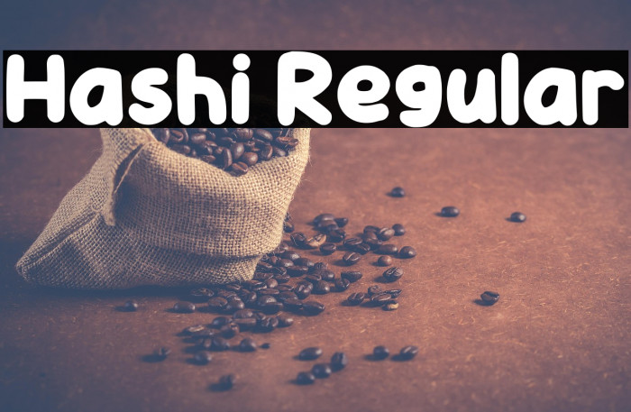 Hashi Regular Example 2