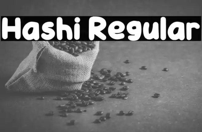 Hashi Regular フォント examples
