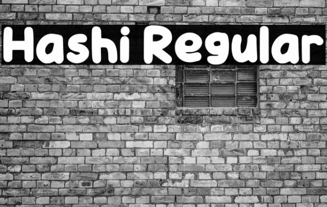 Hashi Regular フォント examples