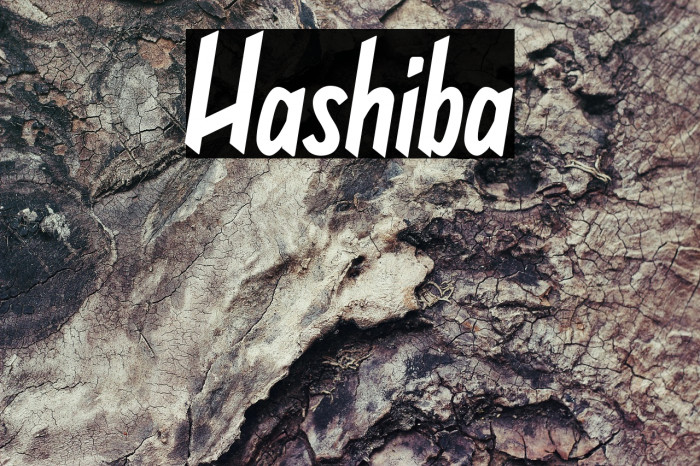 Hashiba Example 1