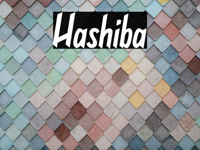 Hashiba Example 2