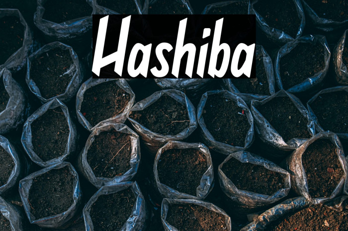 Hashiba Example 3