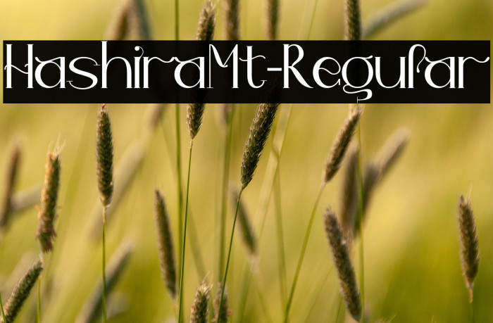HashiraMt-Regular Example 1