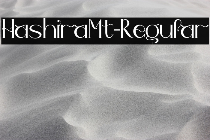 HashiraMt-Regular Example 2