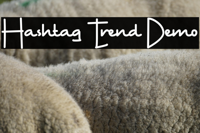 Hashtag Trend Demo Example 1