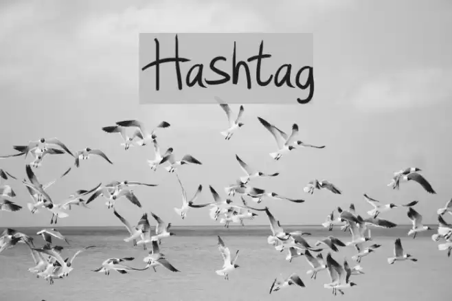 Hashtag Font examples