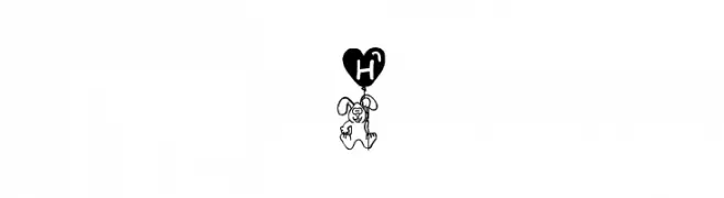 Hasi  لخطوط تنزيل