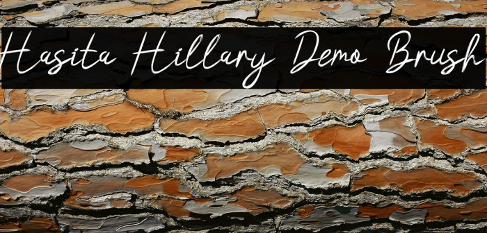 Hasita Hillary Demo Brush Example 1
