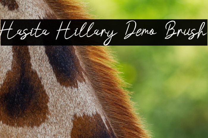 Hasita Hillary Demo Brush Example 2