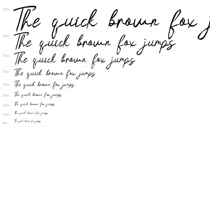 Hasita Hillary Demo Brush Waterfall