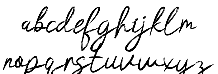 Hasita Hillary Demo Brush Polices MINUSCULES