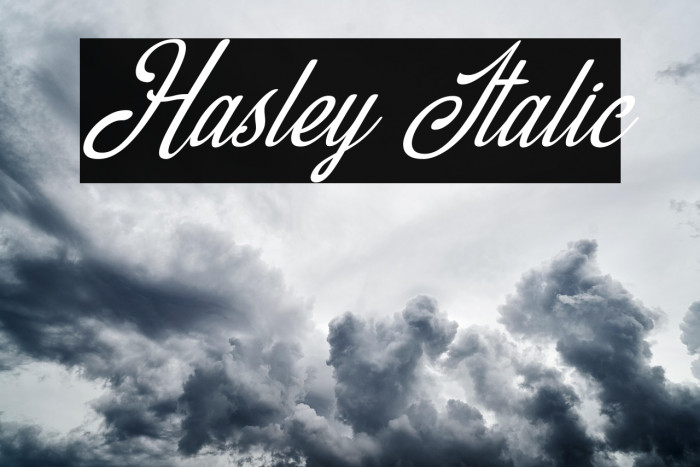 Hasley Italic Example 1