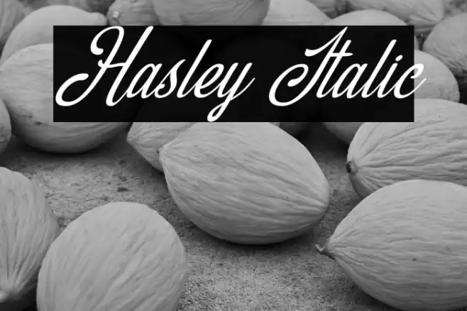 Hasley Italic Font examples