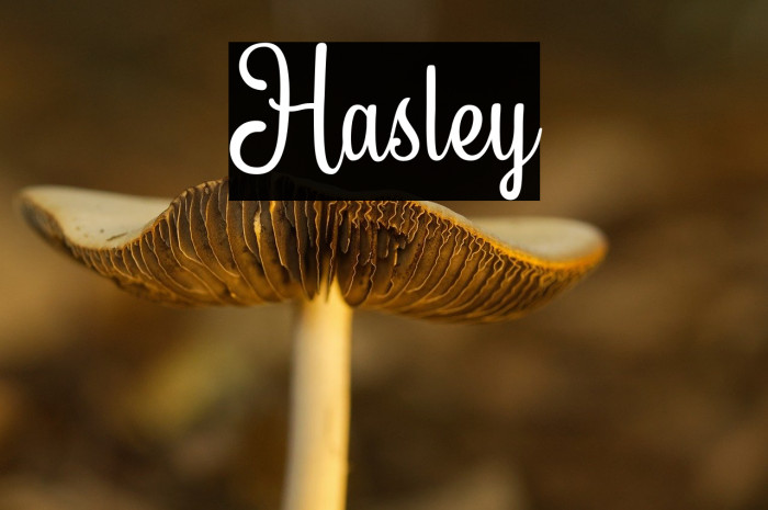 Hasley Example 1