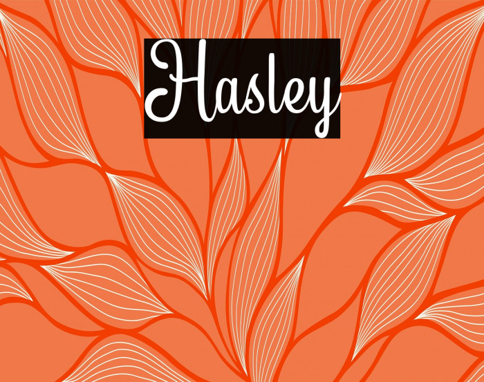 Hasley Example 3