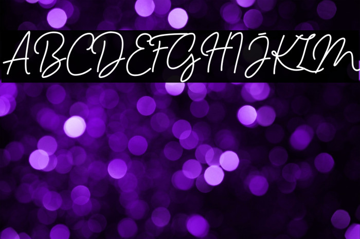 Haslley Beautiful Demo Version Example 1