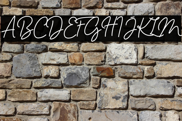 Haslley Beautiful Demo Version Example 2