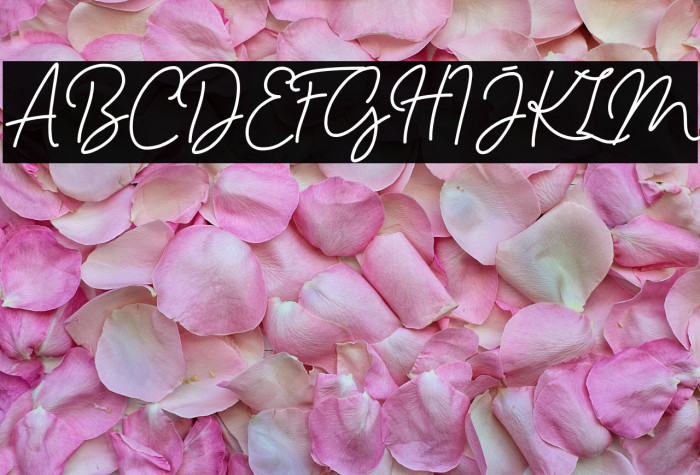 Haslley Beautiful Demo Version Example 3