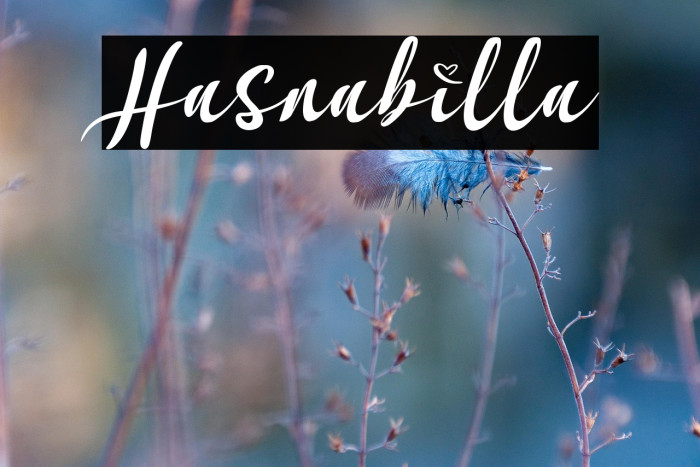Hasnabilla Example 1
