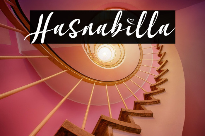 Hasnabilla Example 2