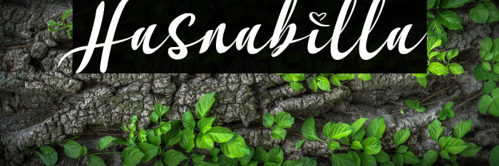 Hasnabilla Example 3