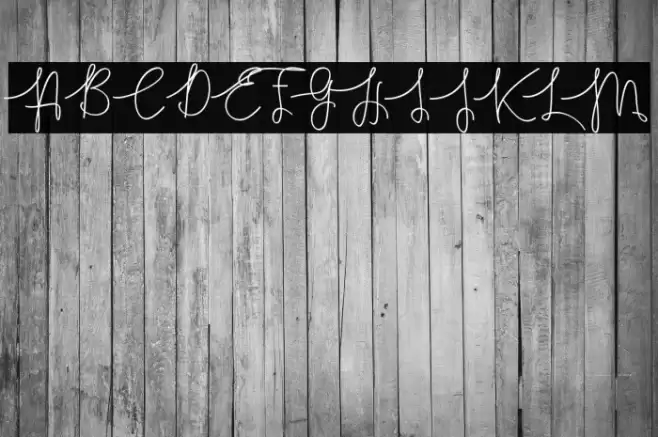 Hasnita Font examples