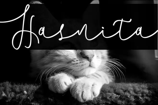 Hasnita Font examples